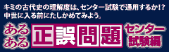 あるある正誤問題